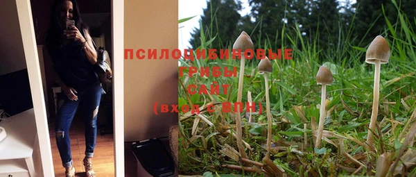 ALPHA PVP Киренск