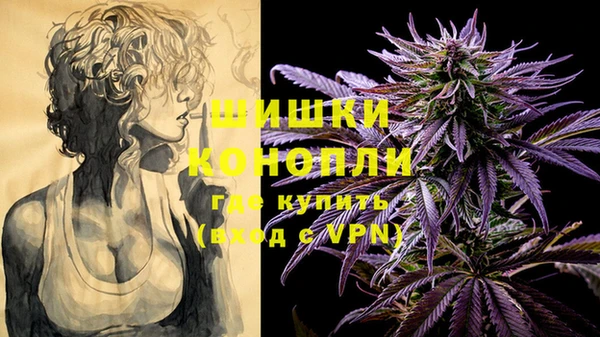 ALPHA PVP Киренск